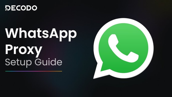 How to check for WhatsApp Business activated phone numbers? Detailed detection process